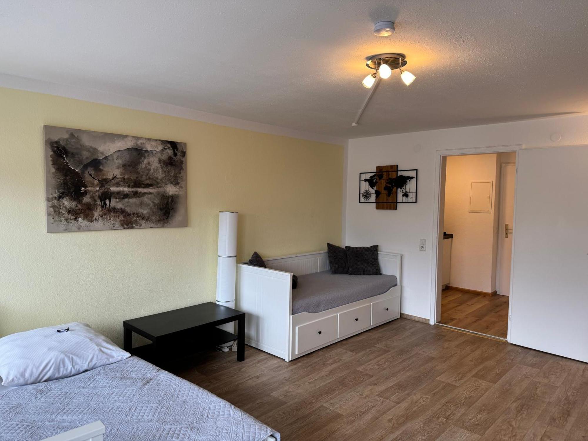 Domview Apartment St. Blasien Luaran gambar