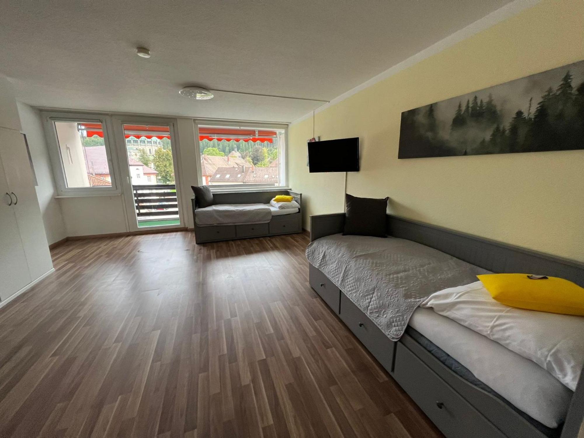 Domview Apartment St. Blasien Luaran gambar