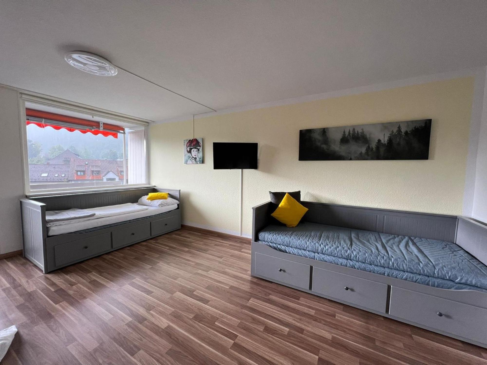 Domview Apartment St. Blasien Luaran gambar
