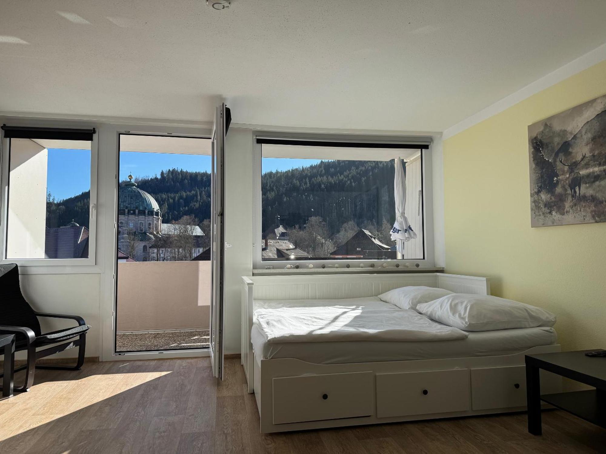 Domview Apartment St. Blasien Luaran gambar
